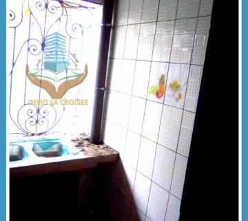 Maintenance plomberie immo la croisée cameroun