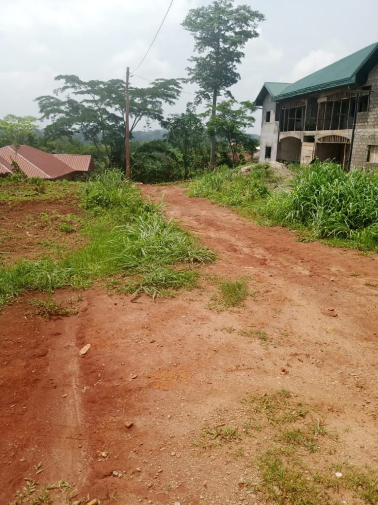 WhatsApp Image 2023-05-04 at 09.30.30 (1)