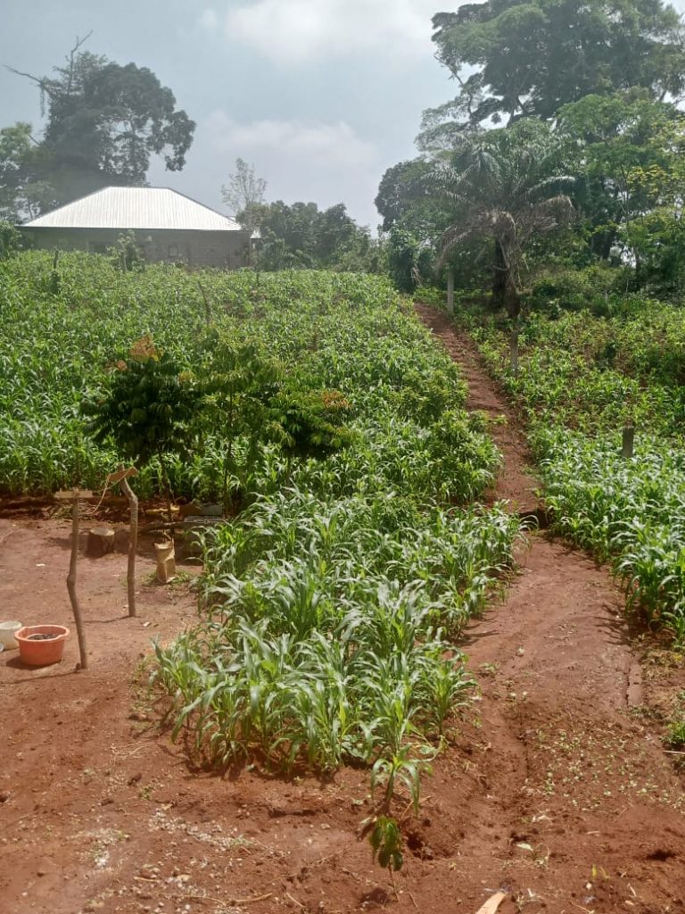 WhatsApp Image 2023-05-04 at 09.30.30