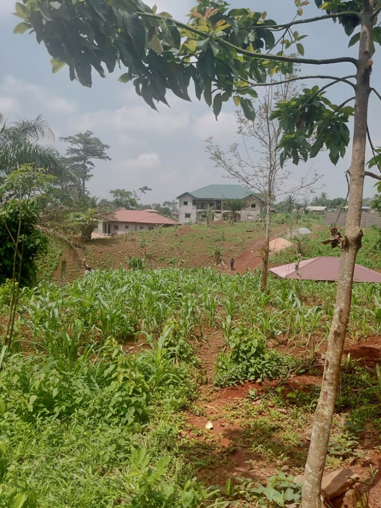 WhatsApp Image 2023-05-04 at 09.30.31 (2)