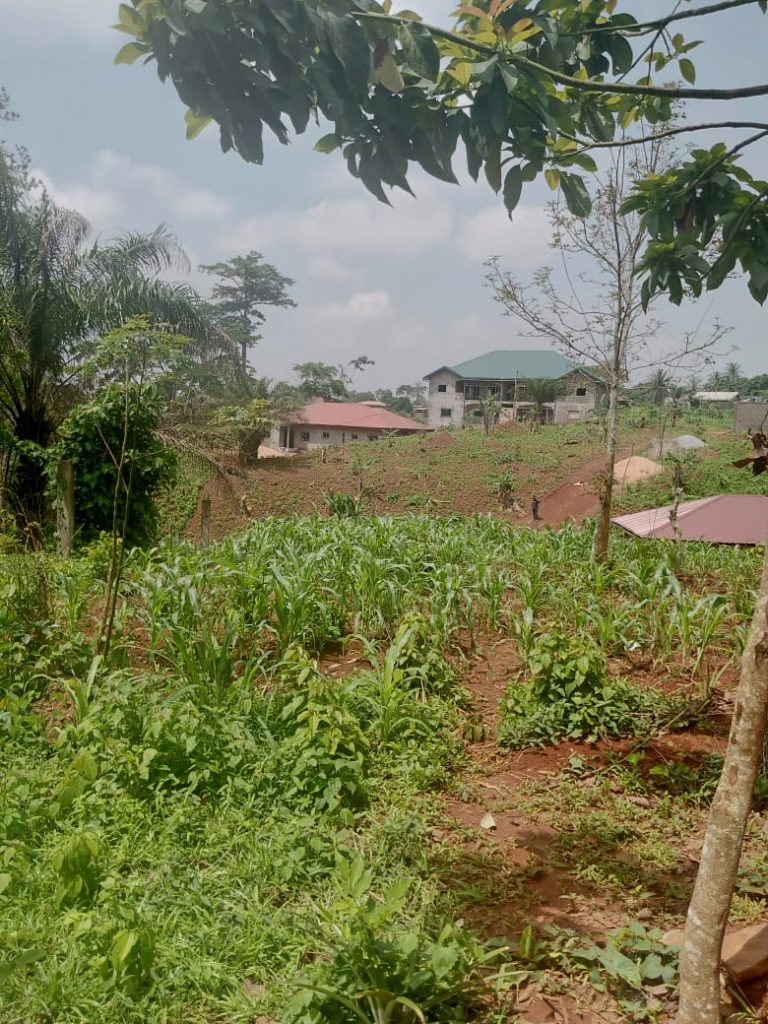 WhatsApp Image 2023-05-04 at 09.30.31 (3)