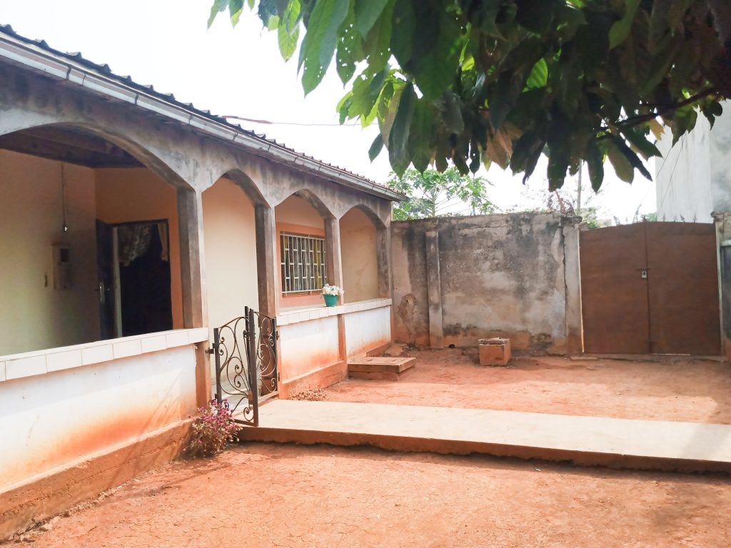 image face principale (1 sur 1)-13