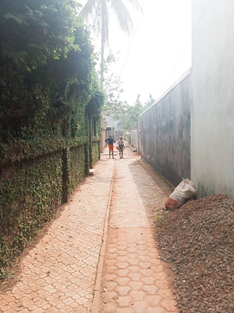 image face principale (1 sur 1)-3