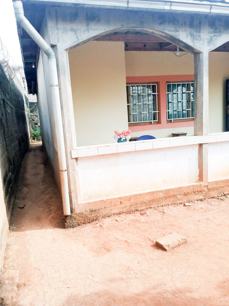 image face principale (1 sur 1)-8