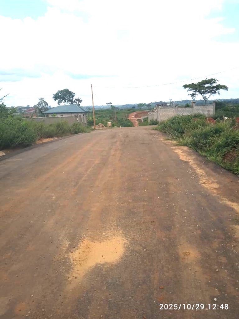 577758486_1416156887183601_2606416825024653136_n