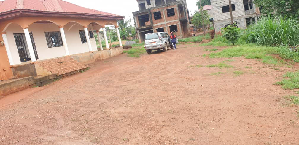 WhatsApp Image 2025-04-16 at 13.24.05